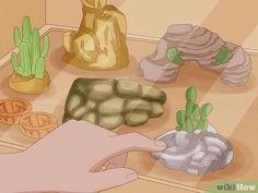 a box with rocks and cacti in it that is being held by someone's hand