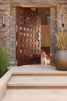 a dog sitting on the steps in front of a house with a large metal planter next to it