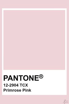 the pantone color is pink and has a white rectangle on top of it