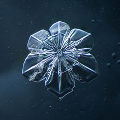 an image of a snowflake in the water