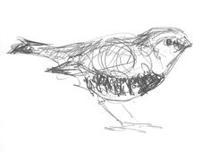 a drawing of a bird with the words michael ryan design