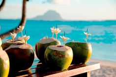 coconuts with flowers are sitting on a bench near the ocean