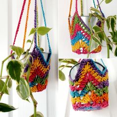 three pictures of a plant hanging from a window sill, one with a crochet bag on it