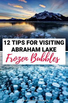 frozen bubbles in the water with text overlay that reads 12 tips for visiting abraham lake