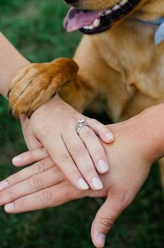 two people holding hands with a dog on the other hand and an instagram post about their engagement