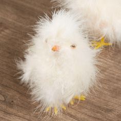 two small white chicks sitting on top of a wooden floor next to each other and looking at the camera