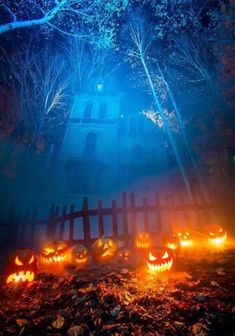 halloween pumpkins glowing in the dark