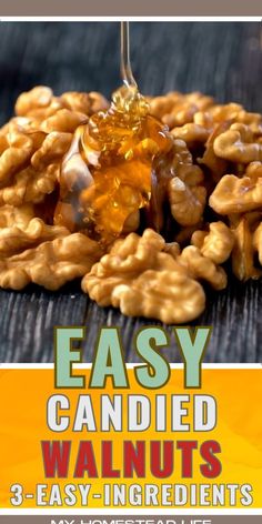 the cover of easy candied walnuts