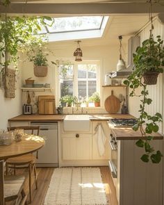 a kitchen filled with lots of plants next to a stove top oven under a skylight