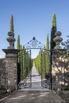 an iron gate leading to a driveway with trees on either side and in the middle