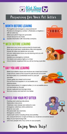 an info sheet describing the benefits of pet sitting