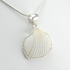 Alt View White Ark Shell Pendant Silver Snake Chain, Shell Pendant, Snake Chain, Bezel Setting, Shells, 925 Sterling Silver, Pendant Necklace, Gemstones, Sterling Silver