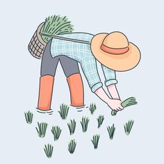 a man with a straw hat is digging in the ground and plants are starting to grow