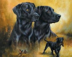 two black dogs standing next to each other on a field