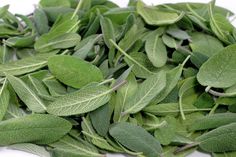 fresh sage leaves are piled on top of each other