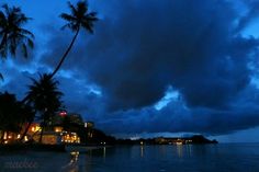 the sky is very dark and cloudy over the water at night with palm trees in the foreground