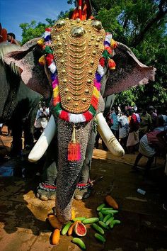 an elephant decorated with decorations and fruit on its trunk, in front of people standing around