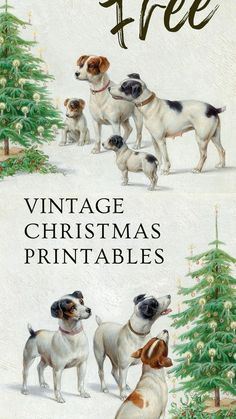 three dogs in front of a christmas tree with the words vintage christmas printables