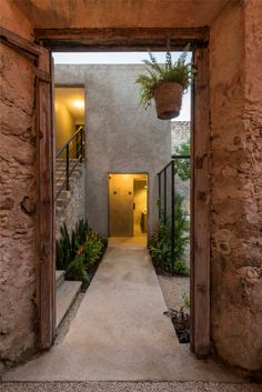 an open door leading to a hallway with potted plants