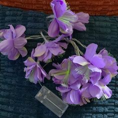 some purple flowers are laying on a towel