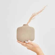 a hand holding a vase with dry grass in it