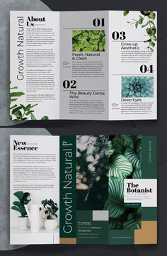 two fold brochure with green leaves on it