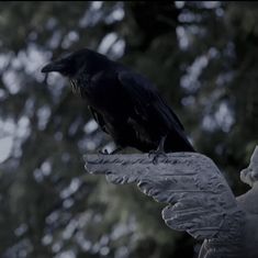 a black bird sitting on top of a statue in front of some tree's