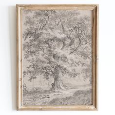 an old tree is hanging on the wall in front of a white wall with a wooden frame