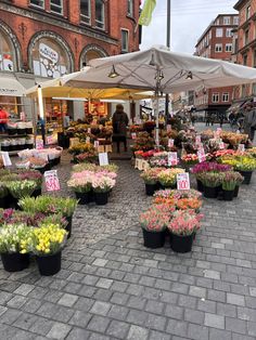 an open air market with lots of flowers on display