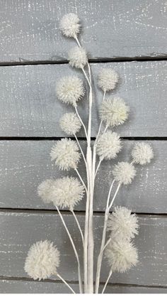 a plant with white flowers on top of a wooden table next to a gray wall