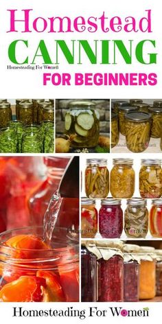 a book cover with images of canning jars, pickles and other things in them