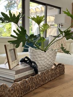 a plant in a white vase sitting on top of a table next to two books