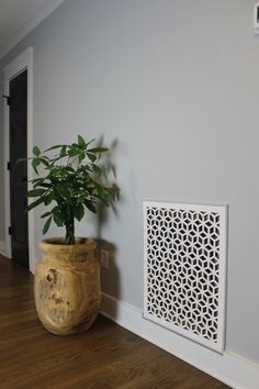 a potted plant sitting on top of a wooden floor next to a radiator