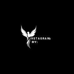 the logo for instagramm by is shown in black and white on a dark background