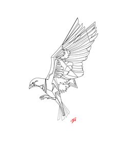 a drawing of an eagle flying in the sky