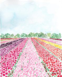 watercolor painting of rows of tulips with trees in the background