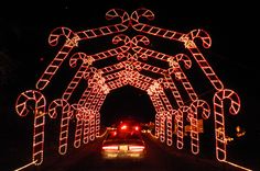 a car driving down a road covered in christmas lights at night with an archway decorated with candy canes