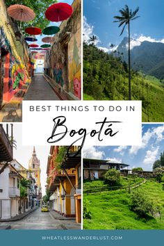 the best things to do in bogota