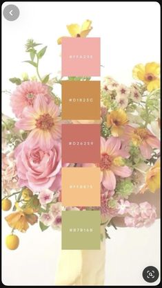 Floral Color Combinations, Floral Wedding Color Palettes, Spring Winter Color Palette, Fall Color Palette With Pink, Fun Color Schemes Colour Palettes, May Colors Palette, Muted Citrus Color Palette, Cute Colour Palette Aesthetic, Key Lime Color Palette