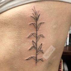 a woman's stomach with a small tattoo of a plant on the lower side