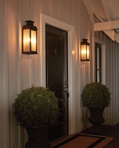 two potted plants sitting on the front steps of a house with lights above them