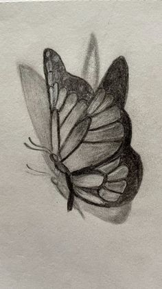 a black and white drawing of a butterfly