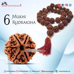 6 Mukhi Rudraksha Lord Kartikeya, Original Six, Divine Blessings, Rudraksha Beads, Om Namah Shivaya, Beads Online, The Divine, Shiva, Benefits