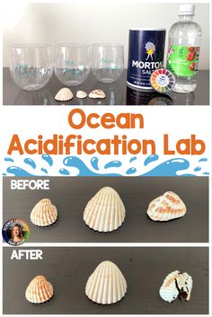 the before and after pictures of an ocean acidifier lab with wine glasses on top