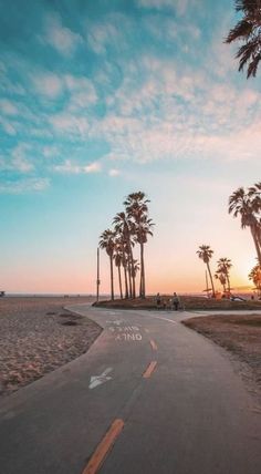 palm trees line the beach as the sun sets