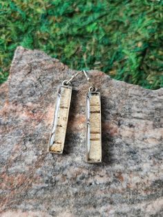 two pieces of wood are hanging from silver earwires on a rock in front of some grass