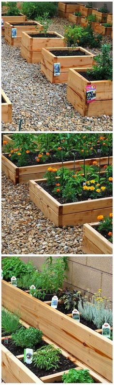 several pictures of different types of raised garden beds