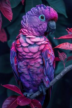 a colorful bird perched on top of a tree branch