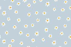 a blue background with white and yellow daisies in the center on a light blue background