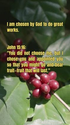 a close up of berries on a tree with a bible verse about fruit that will last